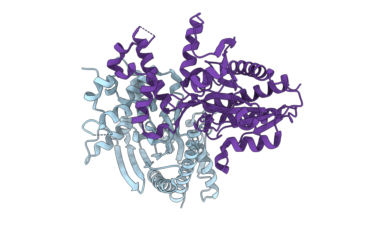 7C4X image