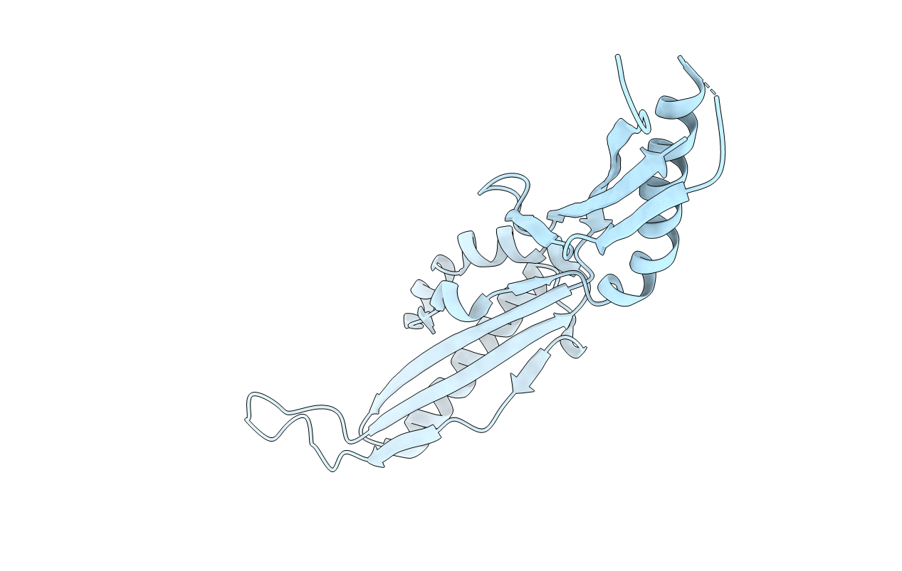 7C51 image