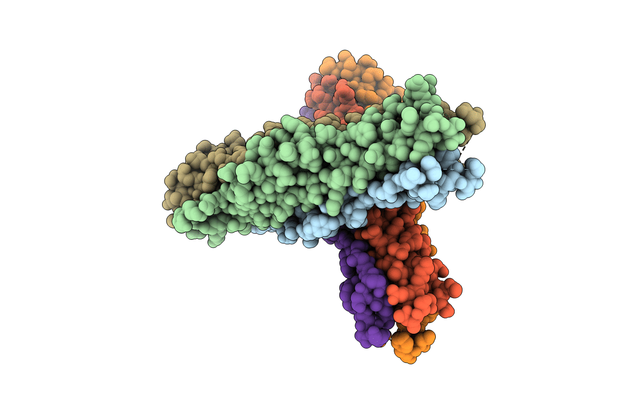 7C53 image