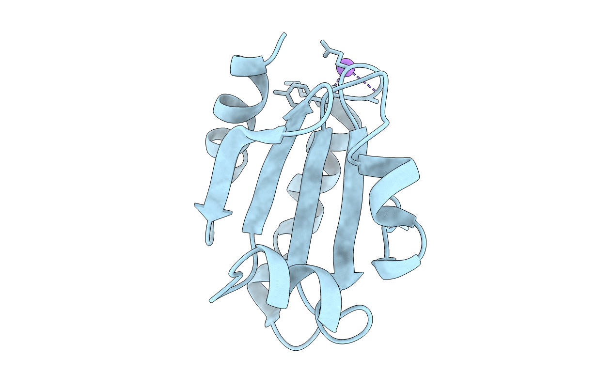 7C65 image