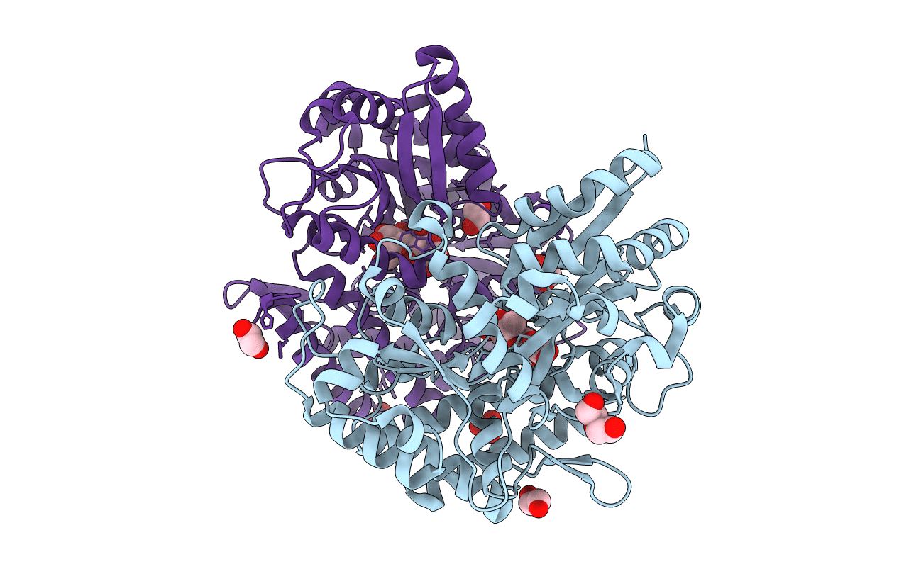 7C66 image