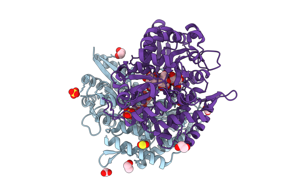 7C67 image