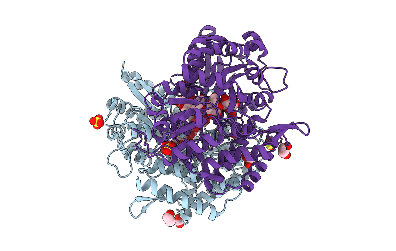 7C68 image
