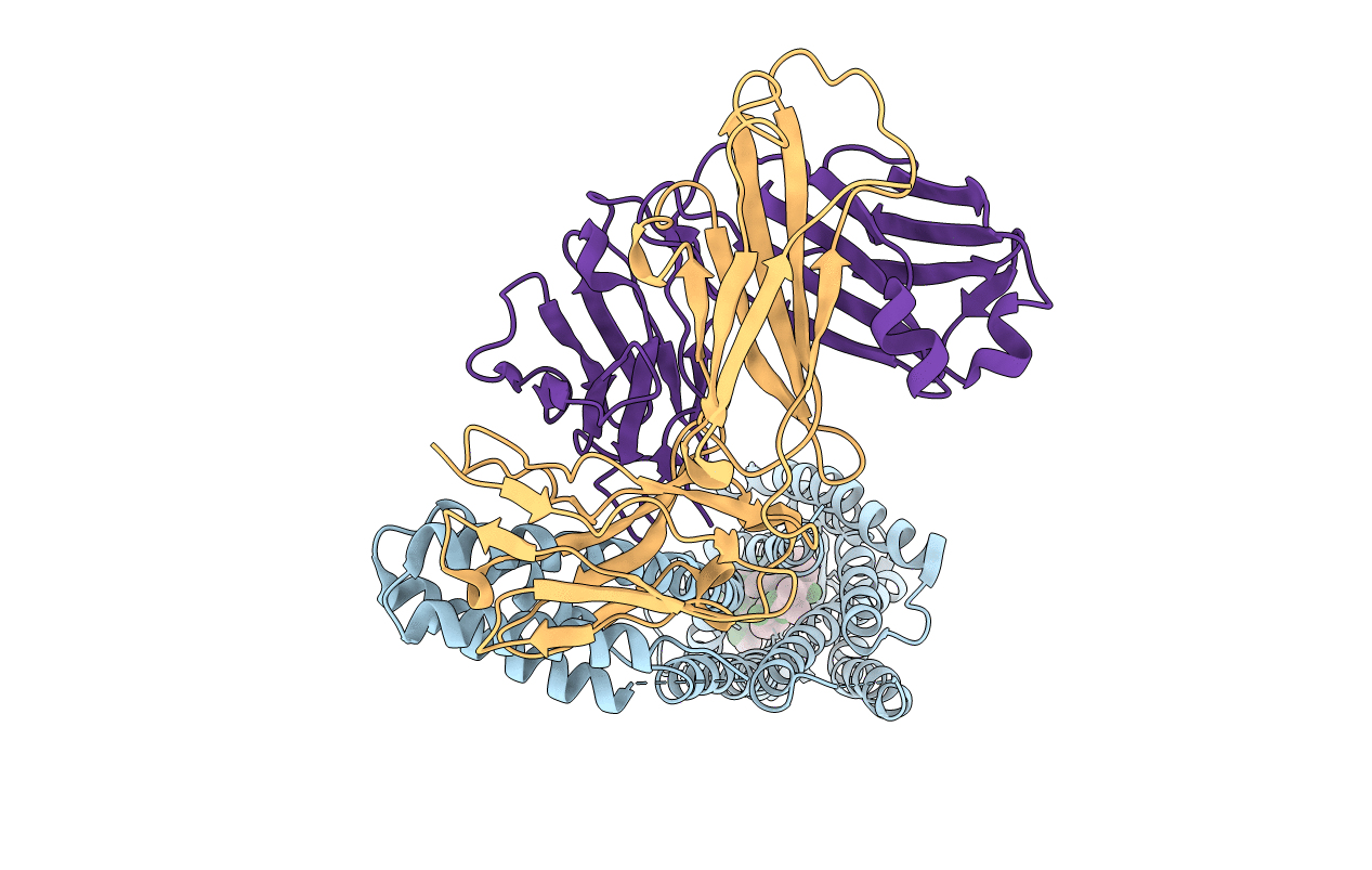 7C6A image
