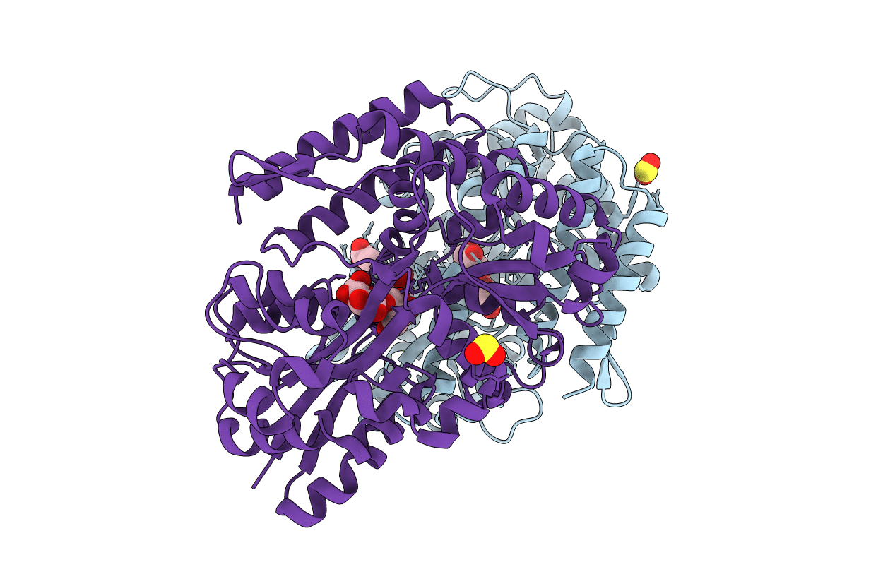 7C6J image