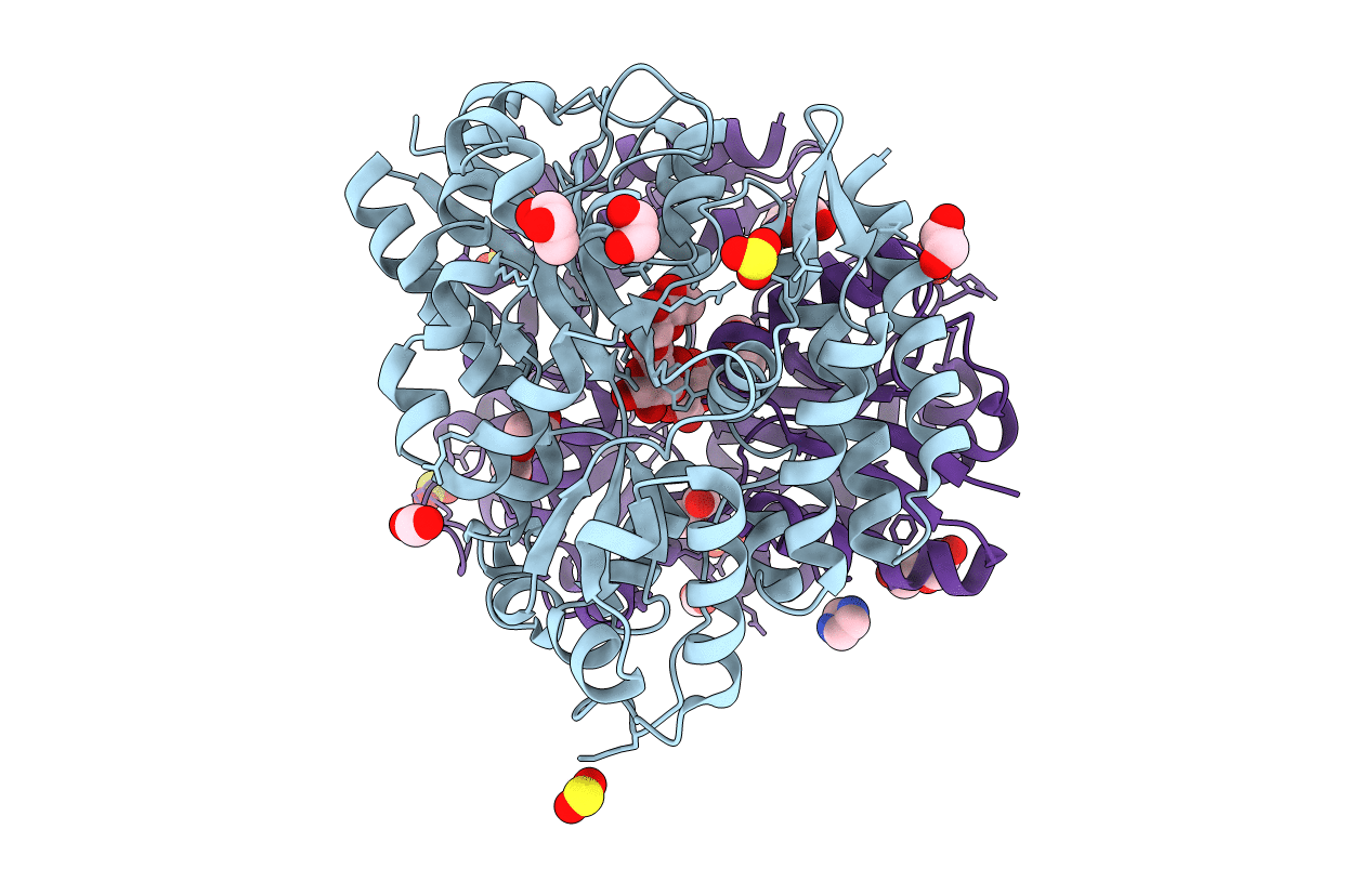 7C70 image