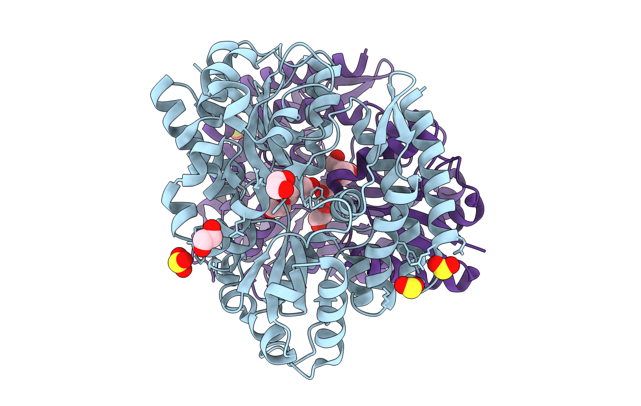 7C71 image