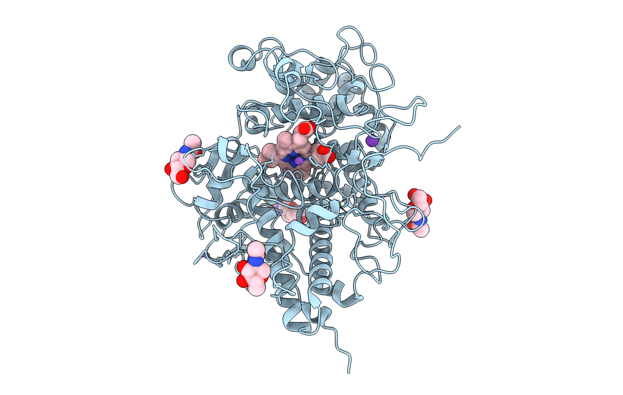 7C75 image