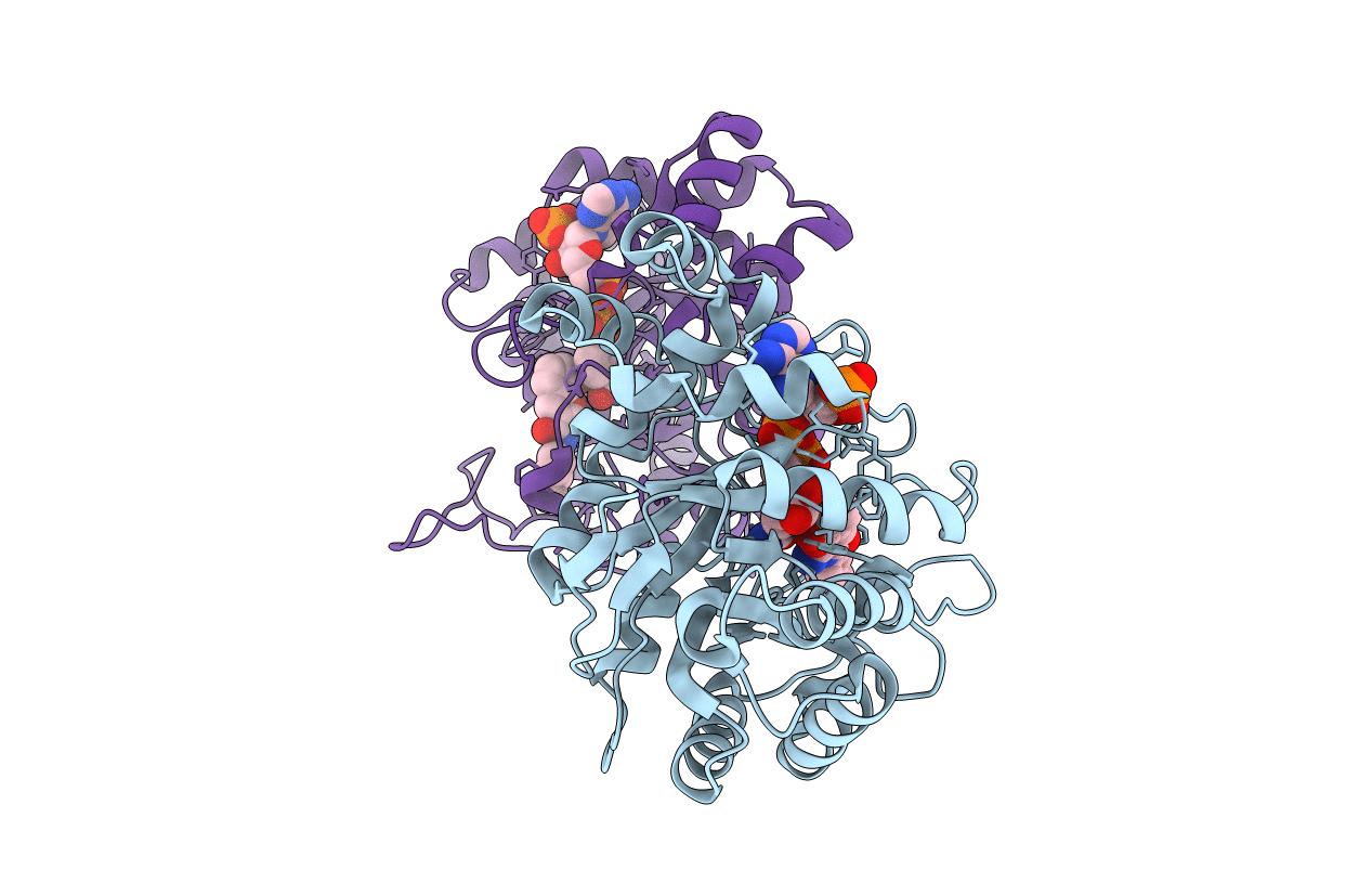 7C7G image