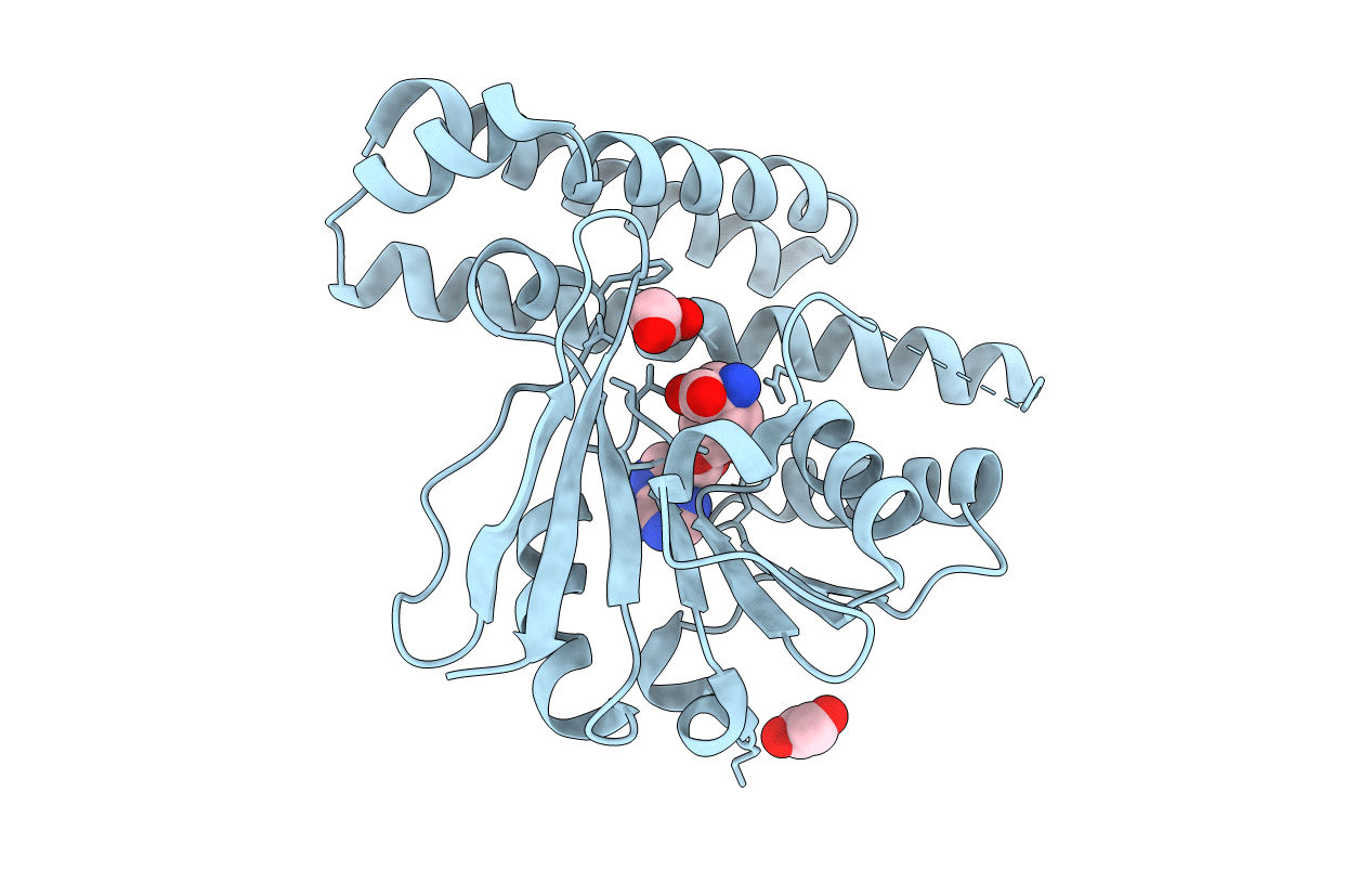 7C7M image