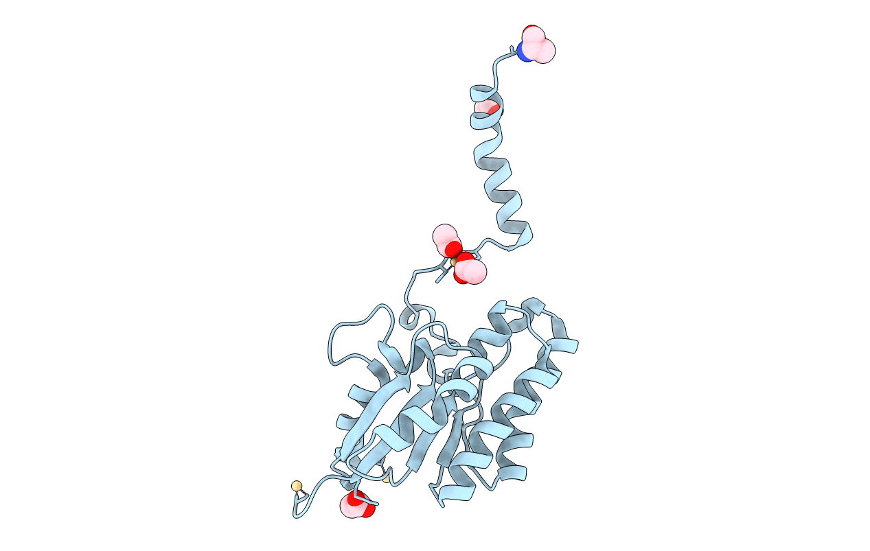 7C82 image