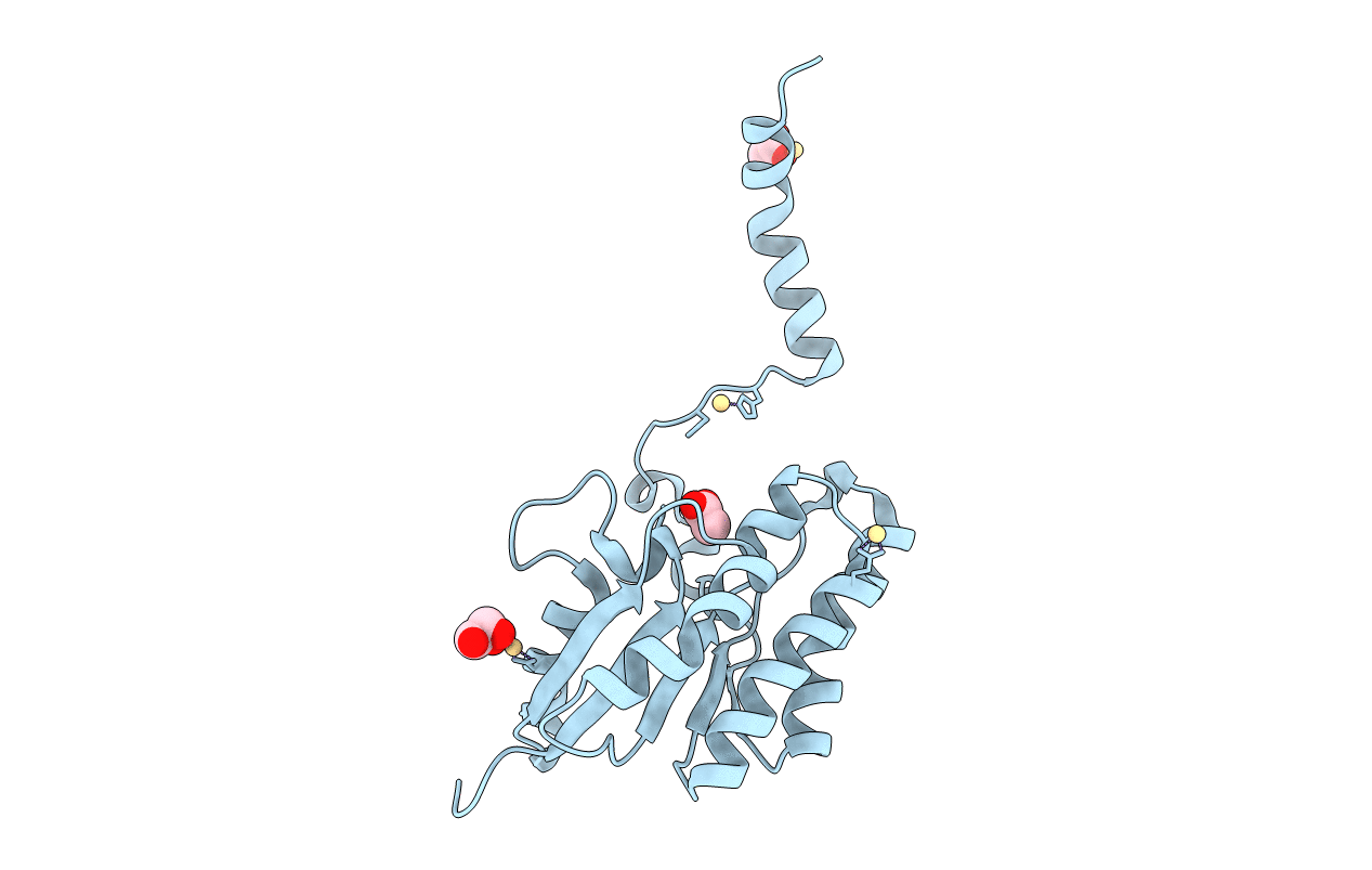 7C84 image