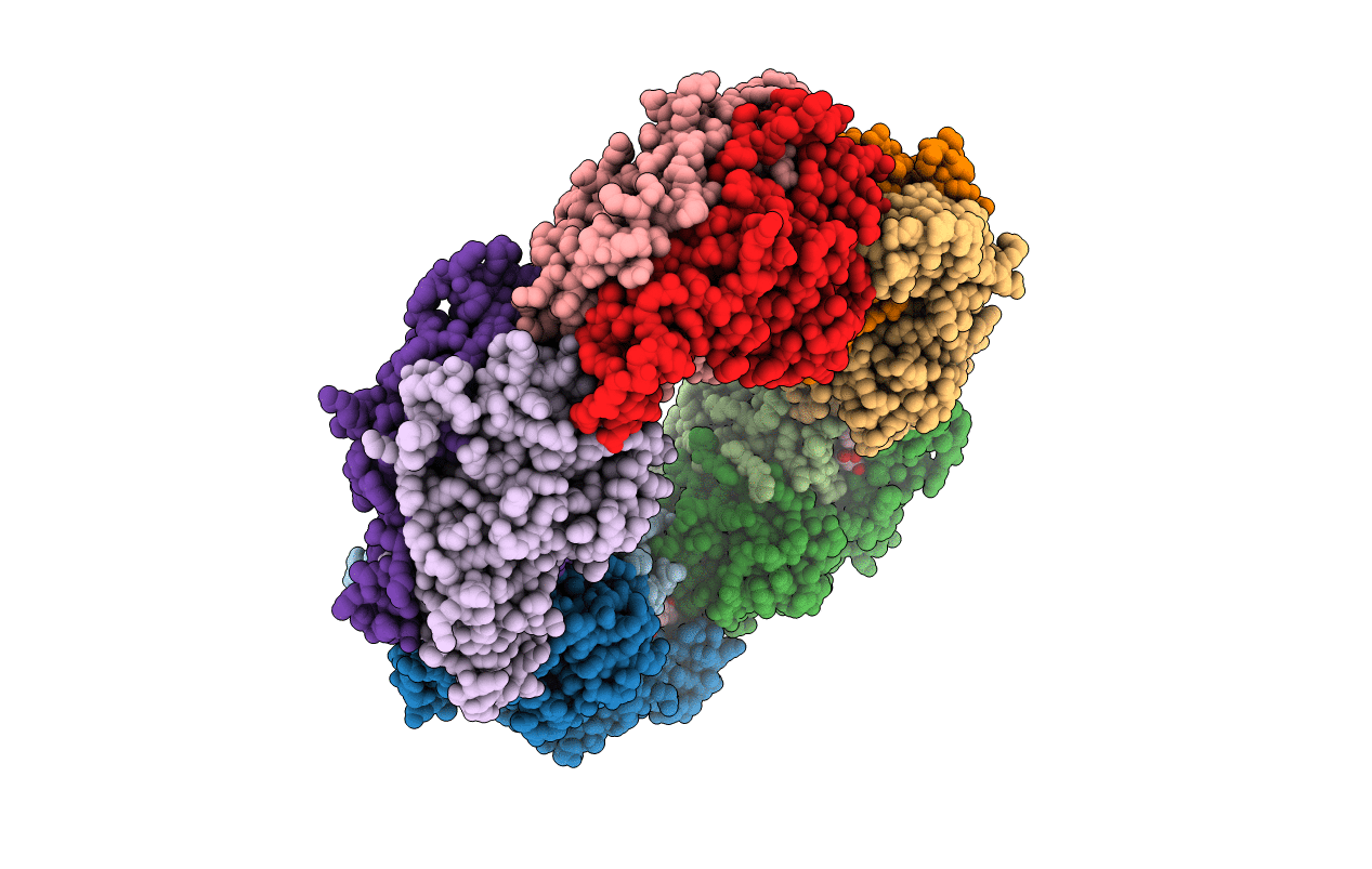 7C89 image