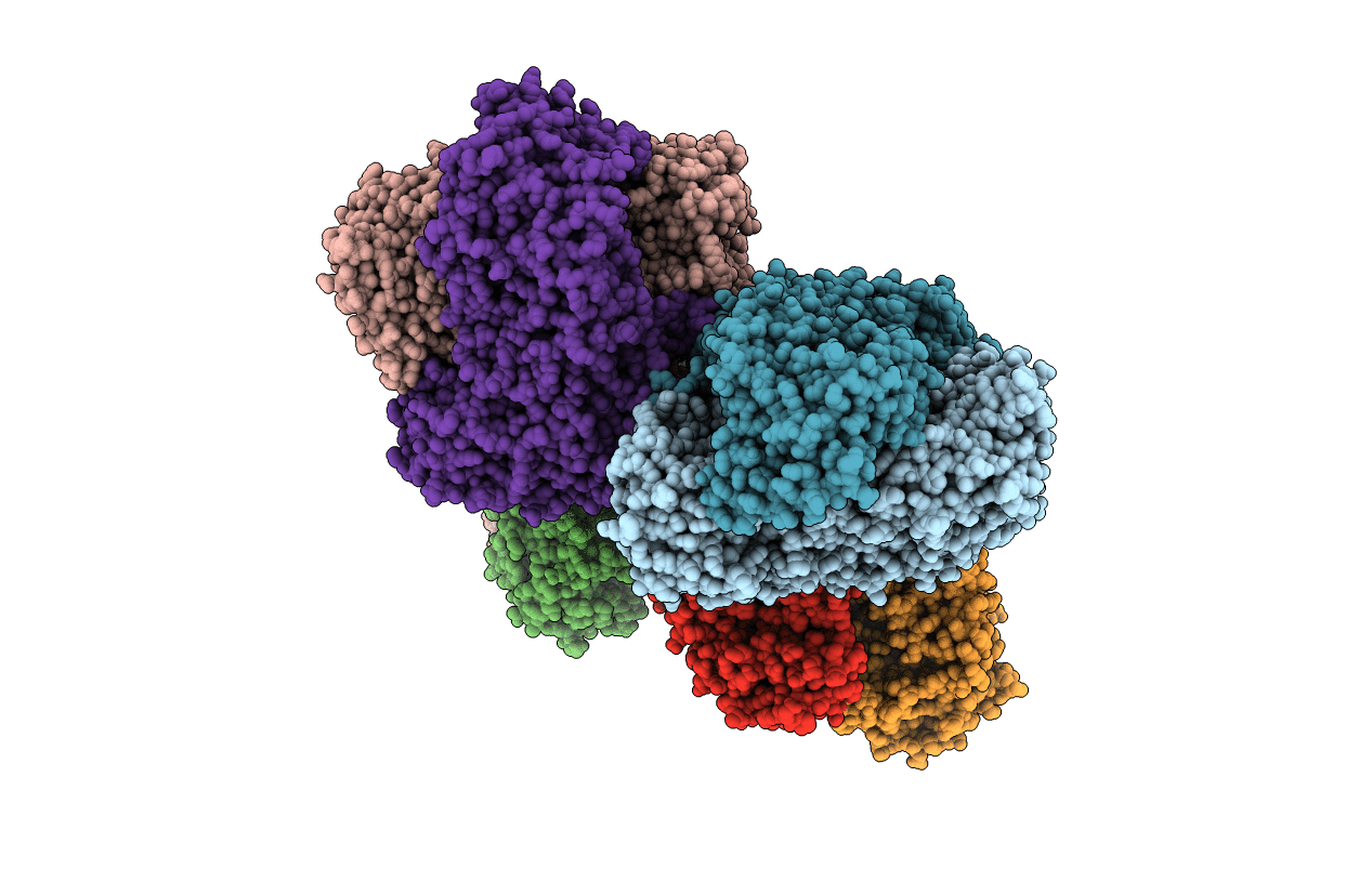 7C8H image