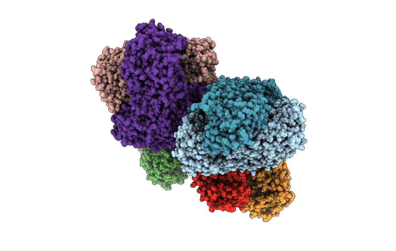 7C8I image
