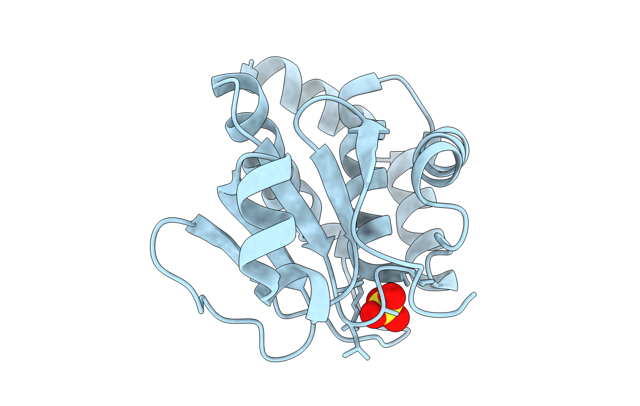 7C8S image