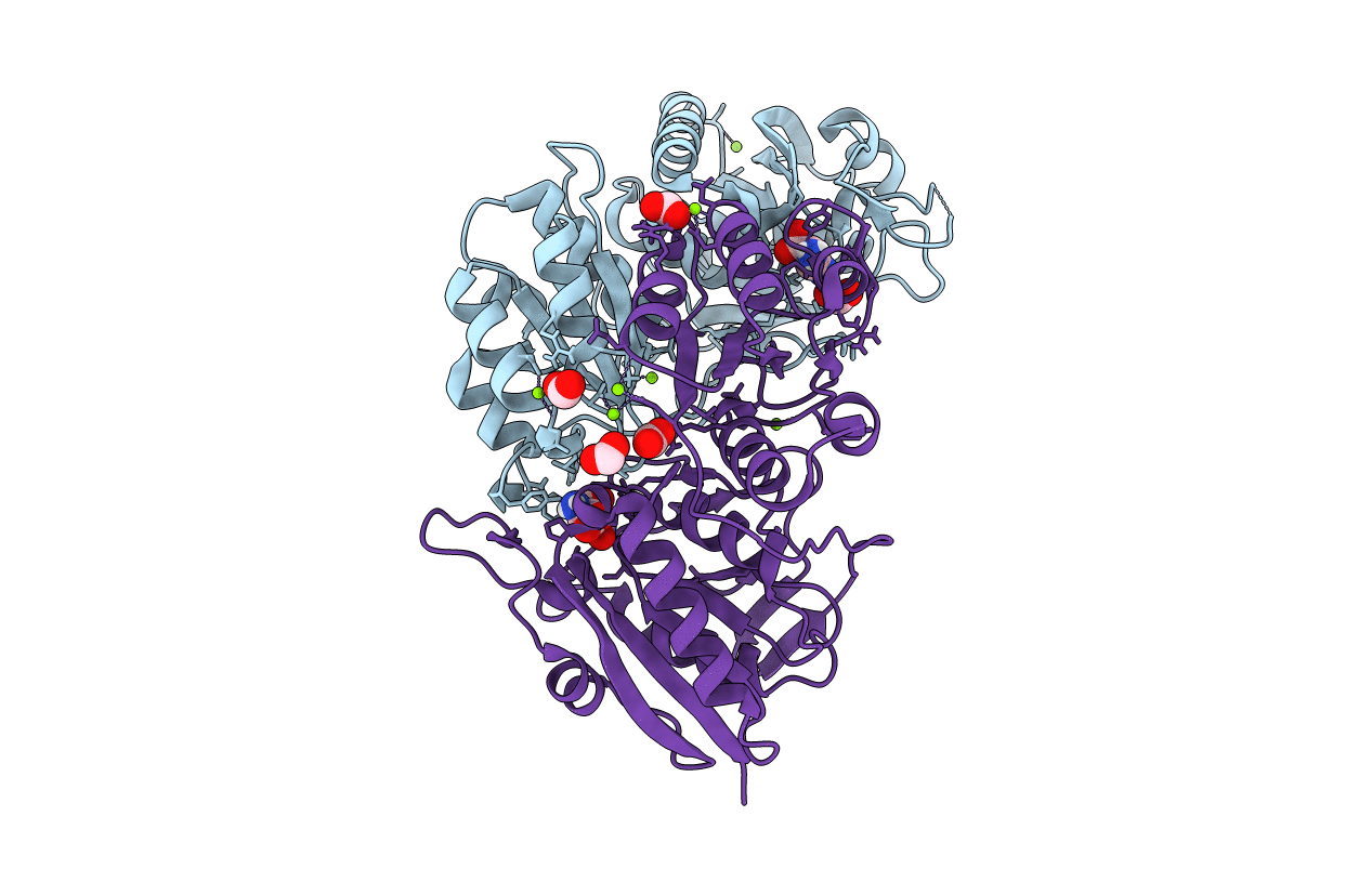 7C8X image