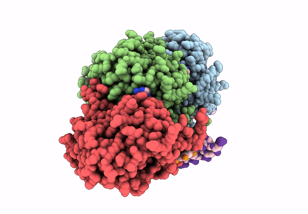 7C9A image