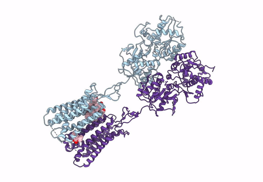 7CA3 image