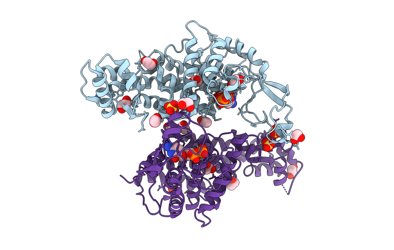 7CB8 image