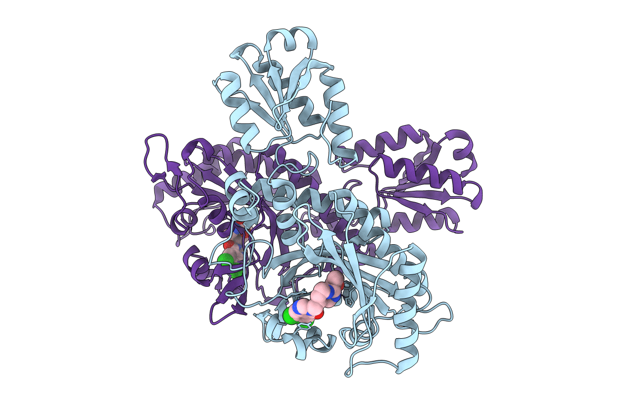 7CBG image