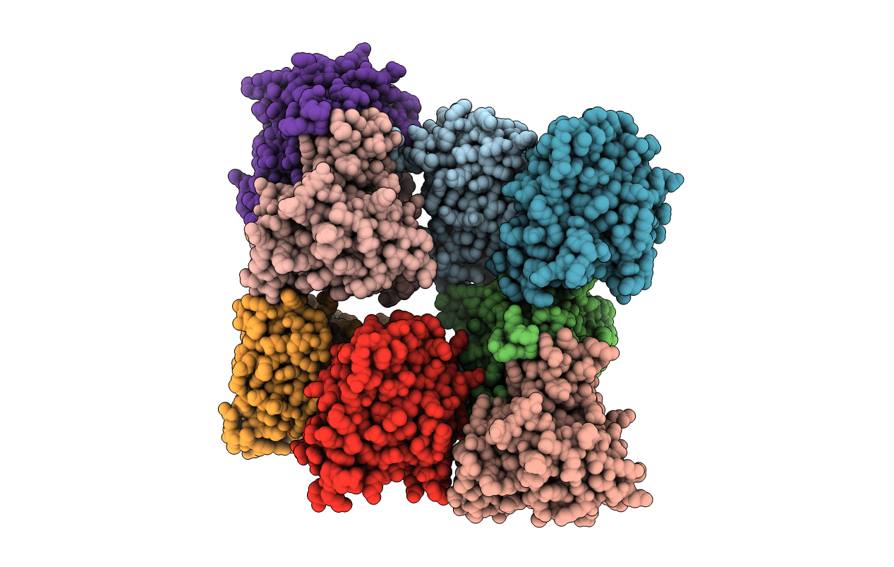 7CC3 image