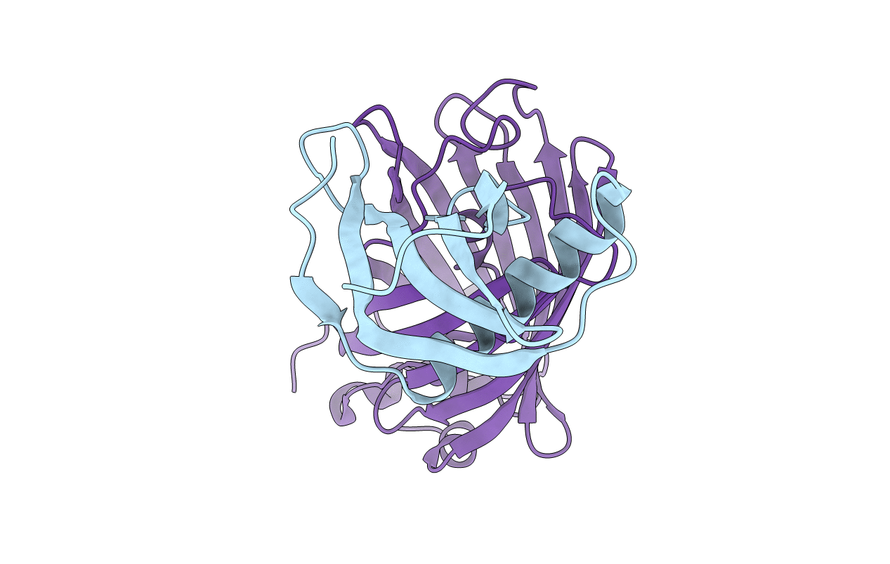 7CD8 image