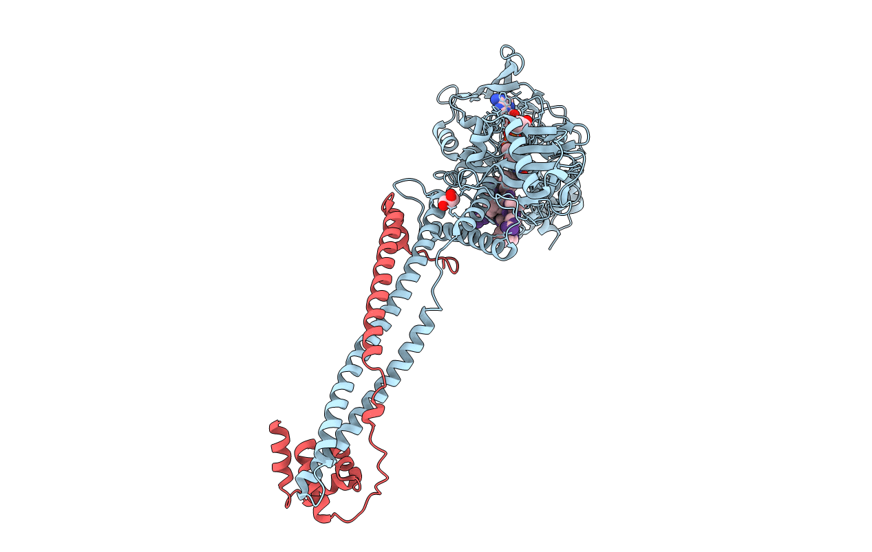 7CDC image