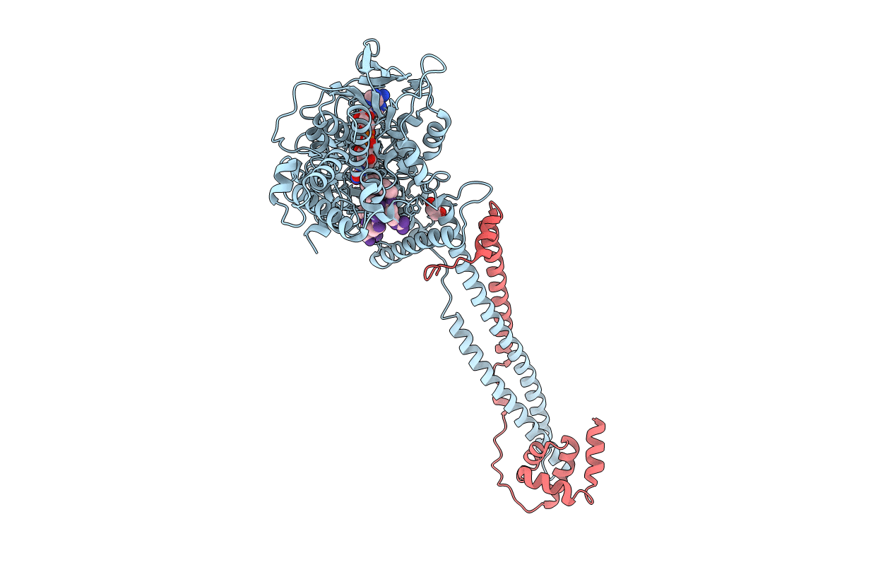 7CDD image