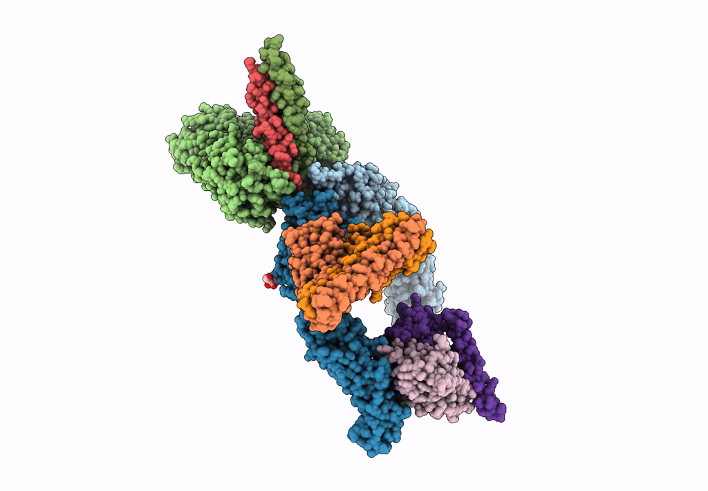 7CEC image