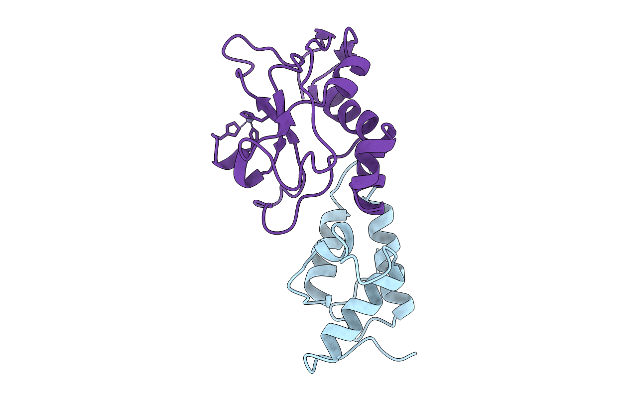 7CEI image