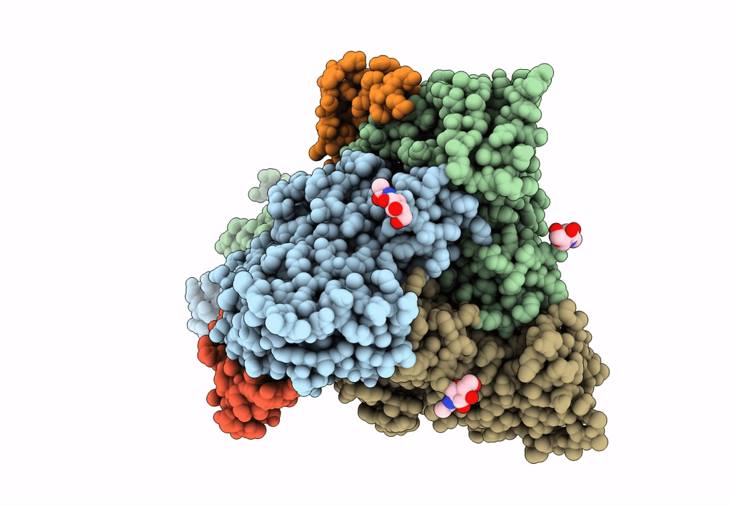 7CFT image