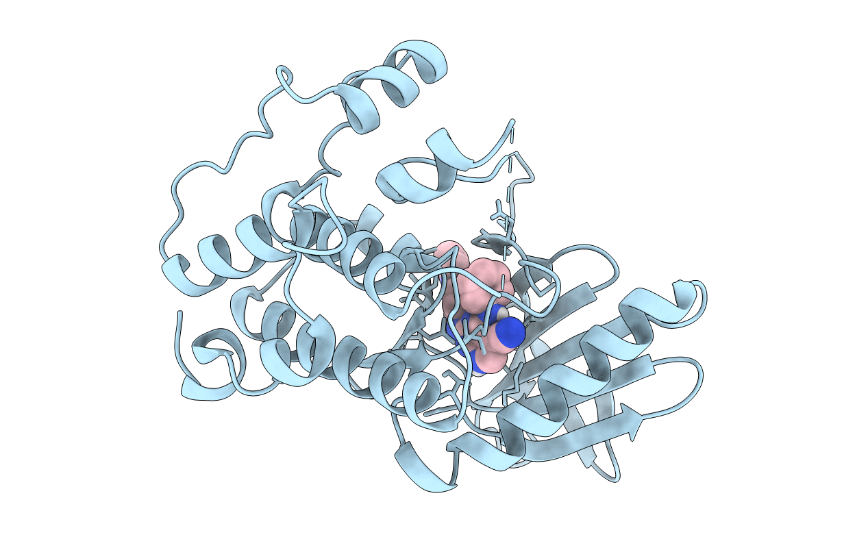 7CHN image
