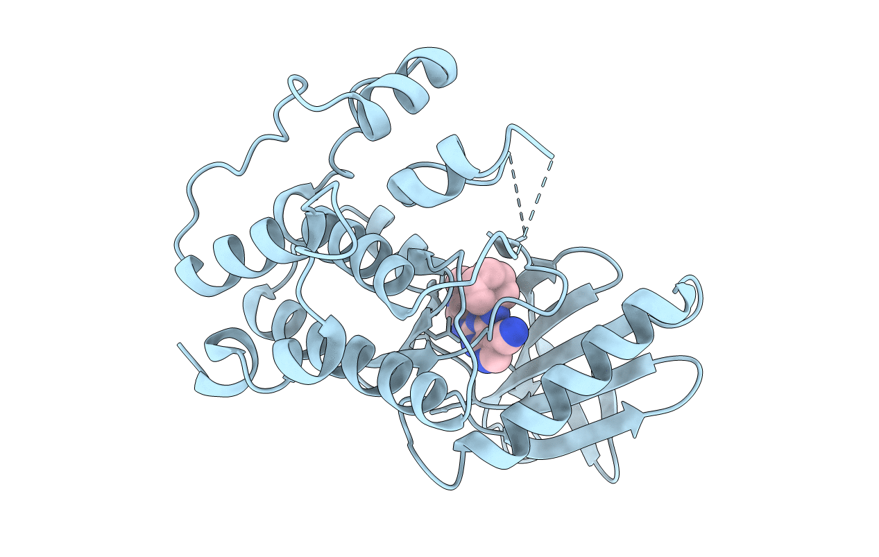 7CIL image
