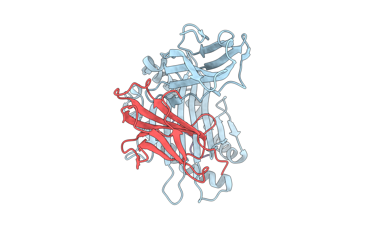 7CIQ image