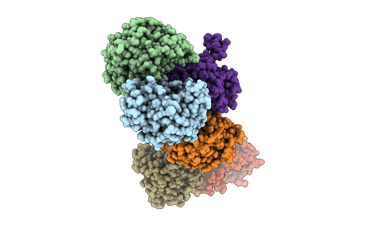 7CL4 image