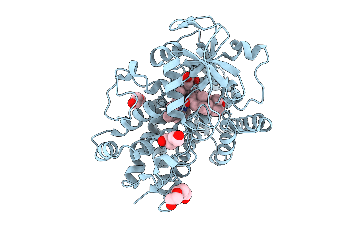 7CL8 image
