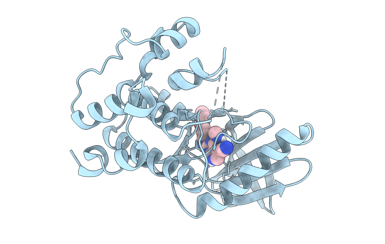 7CLH image