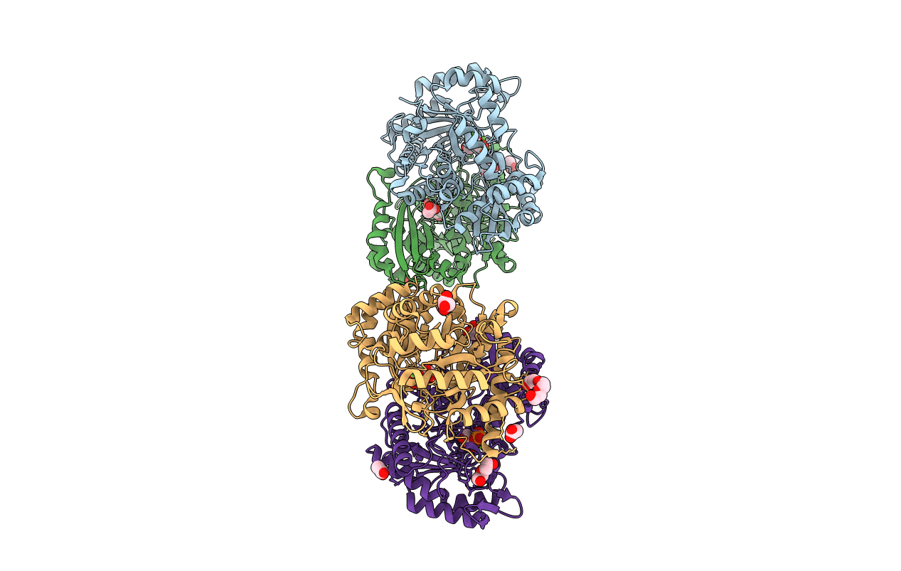 7CLL image