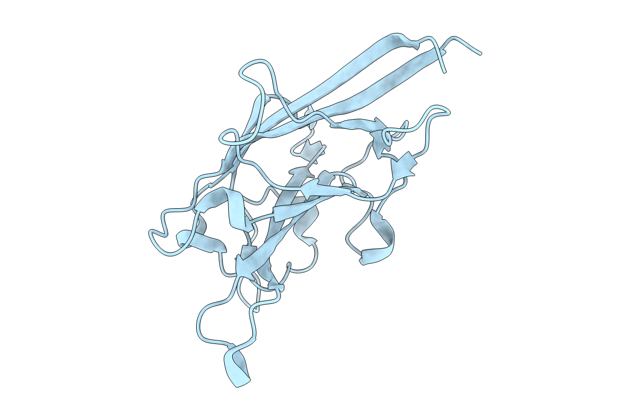 7CLX image