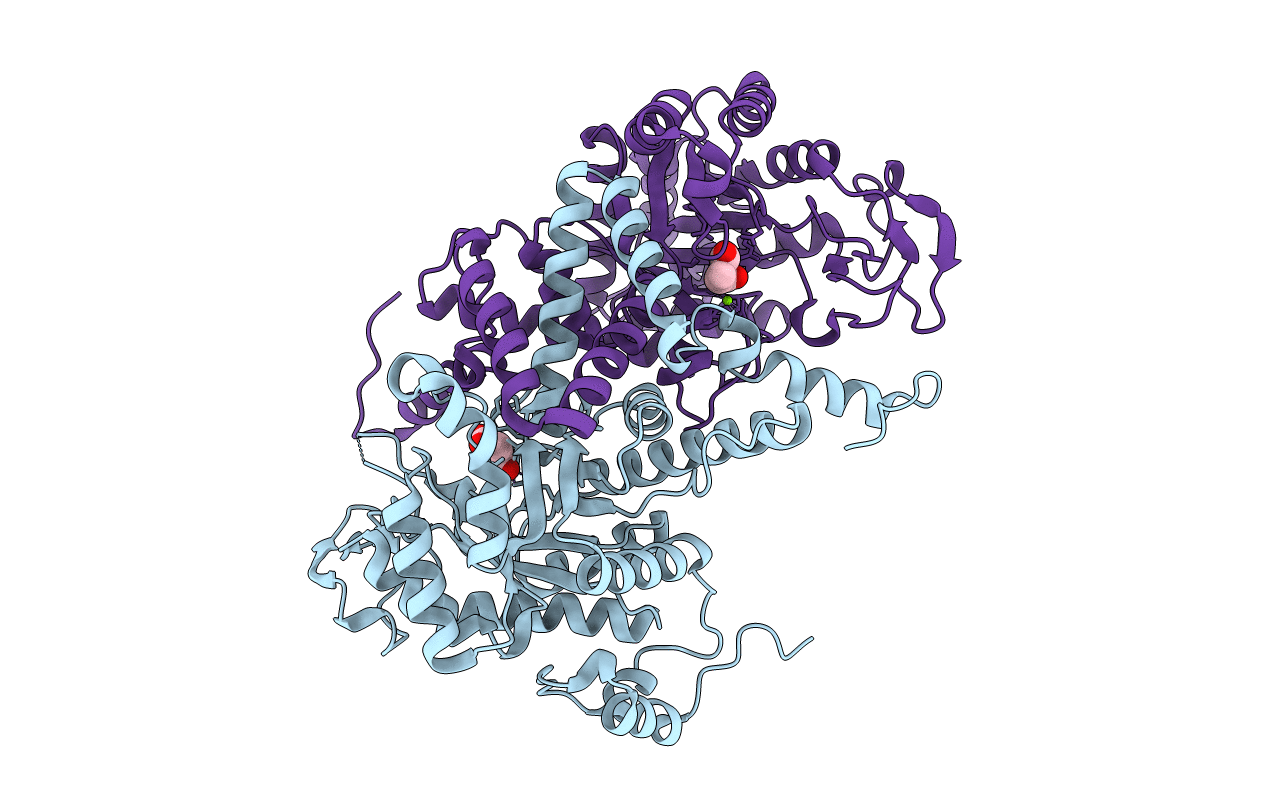 7CP1 image