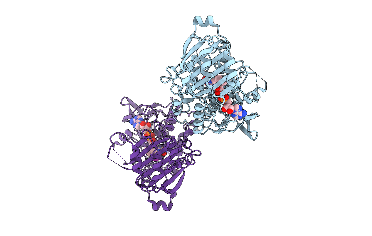 7CP6 image