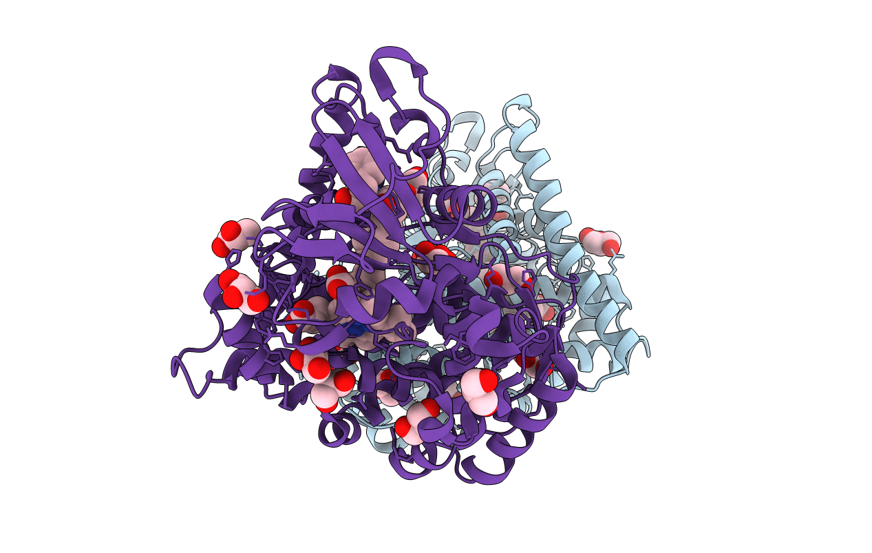 7CP8 image