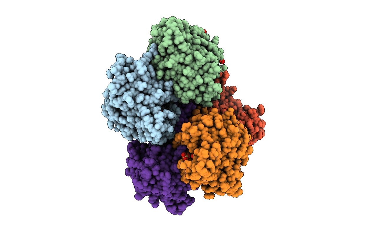 7CPN image