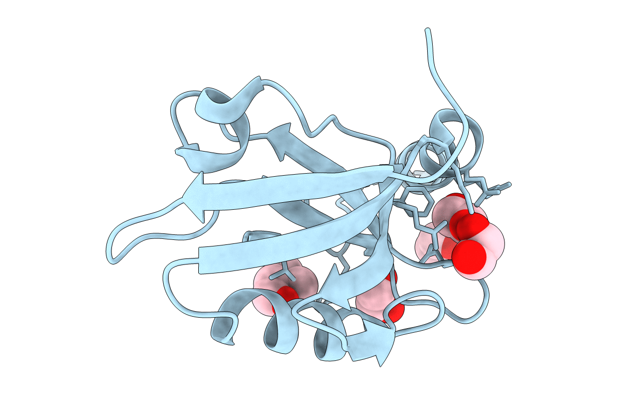 7CQF image