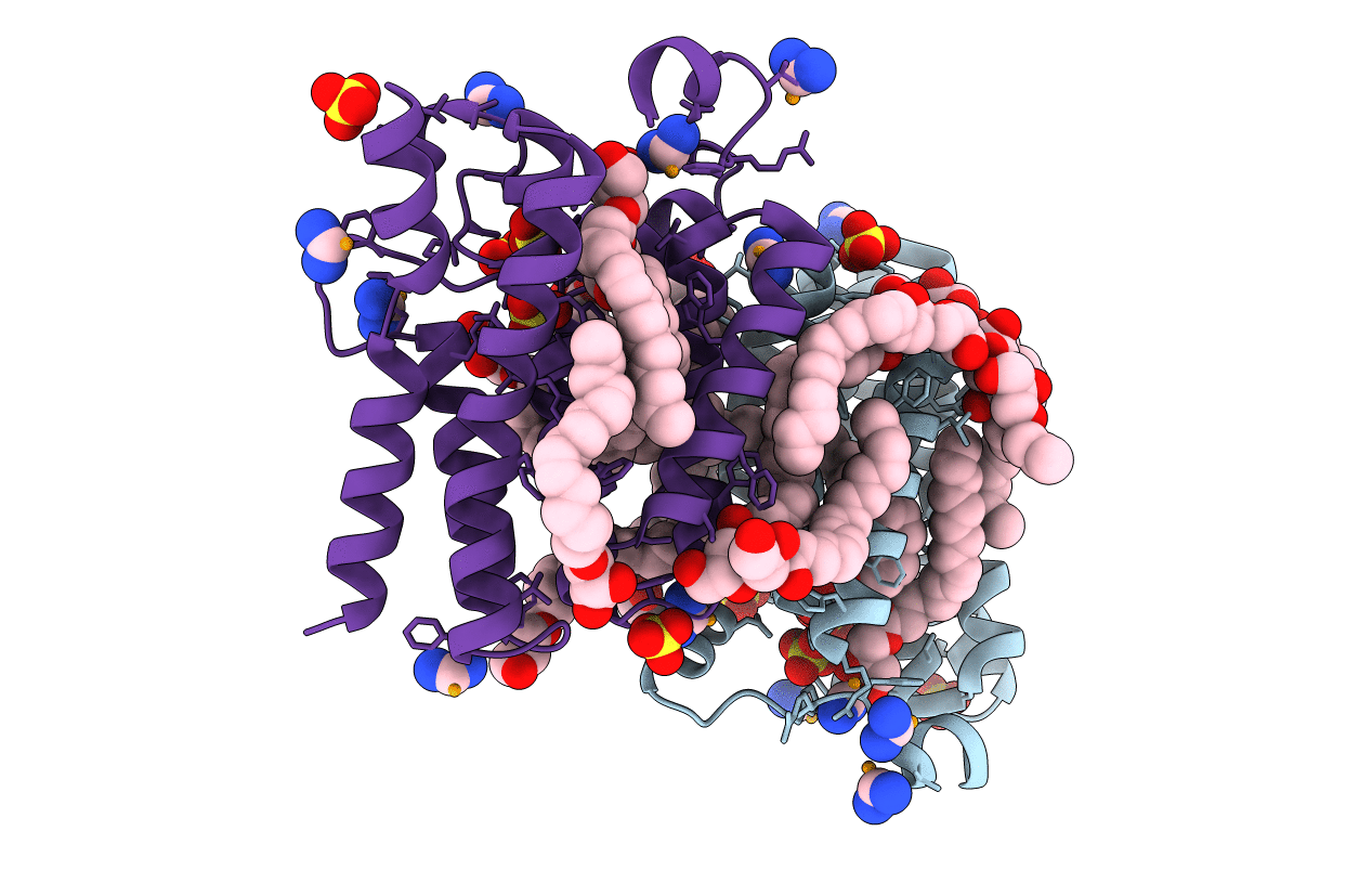 7CQM image