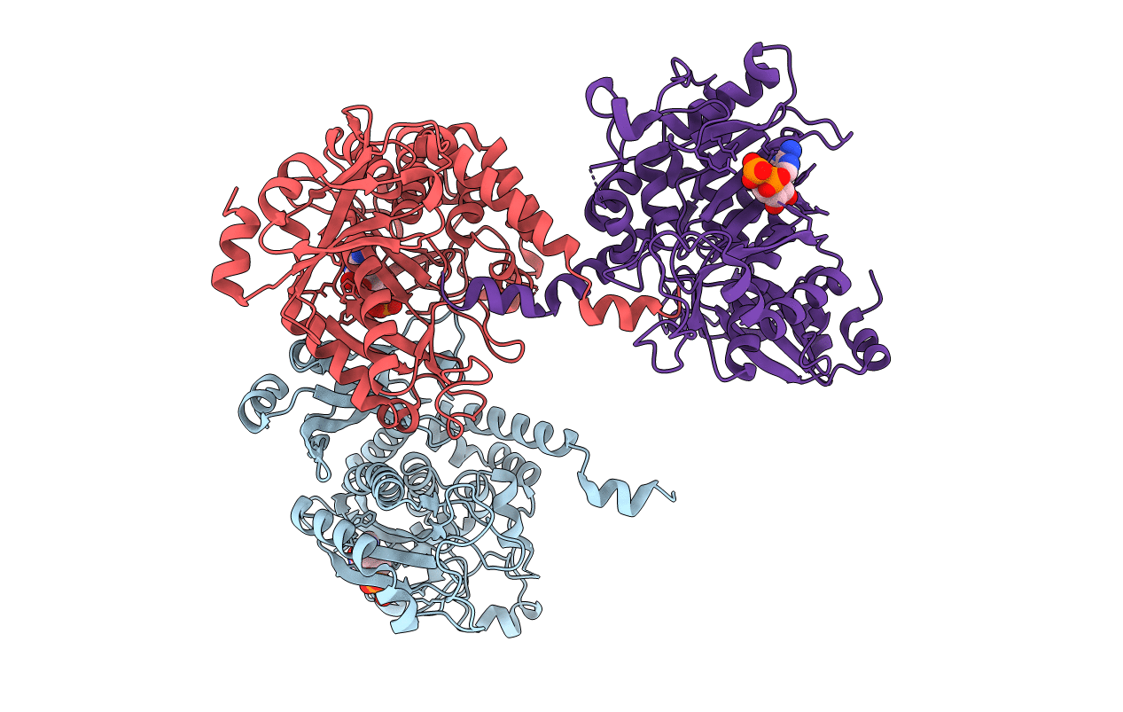 7CQX image