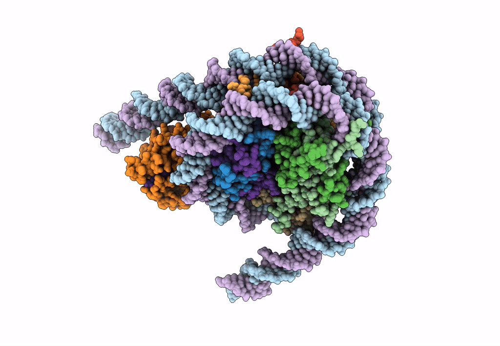 7CRP image