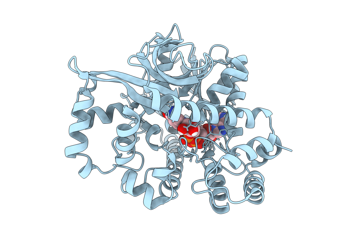 7CTL image