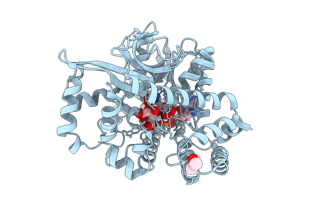 7CTM image